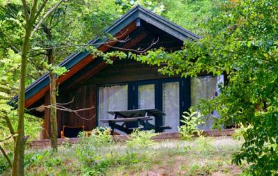 Kalmár Bungaló - Klub Tihany - Balaton - bungaló az erdő mellett - ✔️ Club Tihany Bungalows**** - Akciós faházak Tihany a Balatonnál