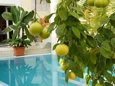 Wellness csomagok és félpanziós ajánlatok a Hotel Kakaduban - ✔️ Wellness Hotel Kakadu*** Keszthely - akciós balatoni wellness Hotel Kakadu Keszthelyen