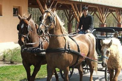 Sétakocsikázás Bikácson - aktív pihenés a Zichy Park Hotelben - ✔️ Zichy Park Hotel**** Bikács - akciós wellness hotel Bikácson félpanzióval